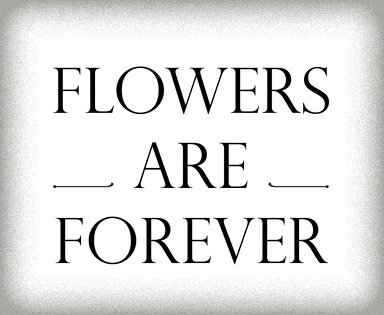 Flowers-forever